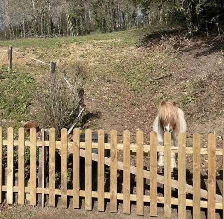 Le Valmontais - Draps Et Serviettes Sur Demande Dom wakacyjny Valmont (Seine-Maritime)