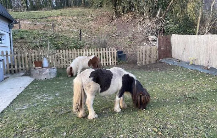 Le Valmontais - Draps Et Serviettes Sur Demande